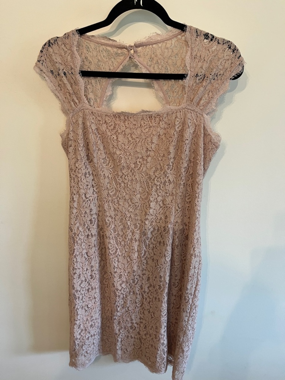 Adrianna Papell Dusty Rose Lace Cap Sleeve Mini